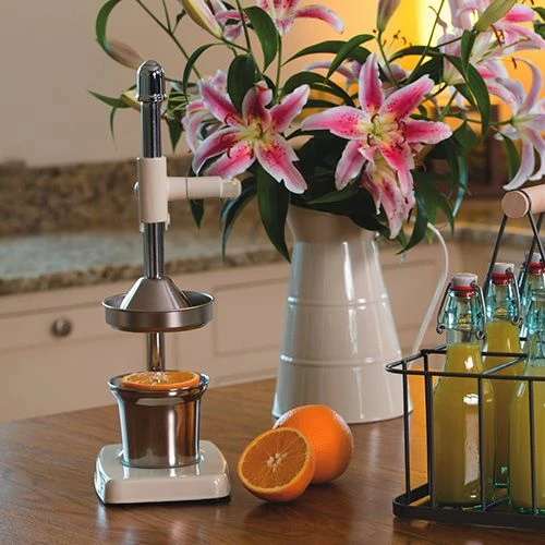 Budget ๐ Living Nostalgia Antique Cream Heavy Duty Juicer ๐ฅฐ 4 Budget ๐ Living Nostalgia Antique Cream Heavy Duty Juicer ๐ฅฐ - Image 4